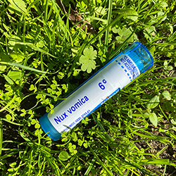 Buy Nux Vomica 6c Dilution, For Headache, Asthma, 80 Sweet Pellets at The Surf Haberdashery